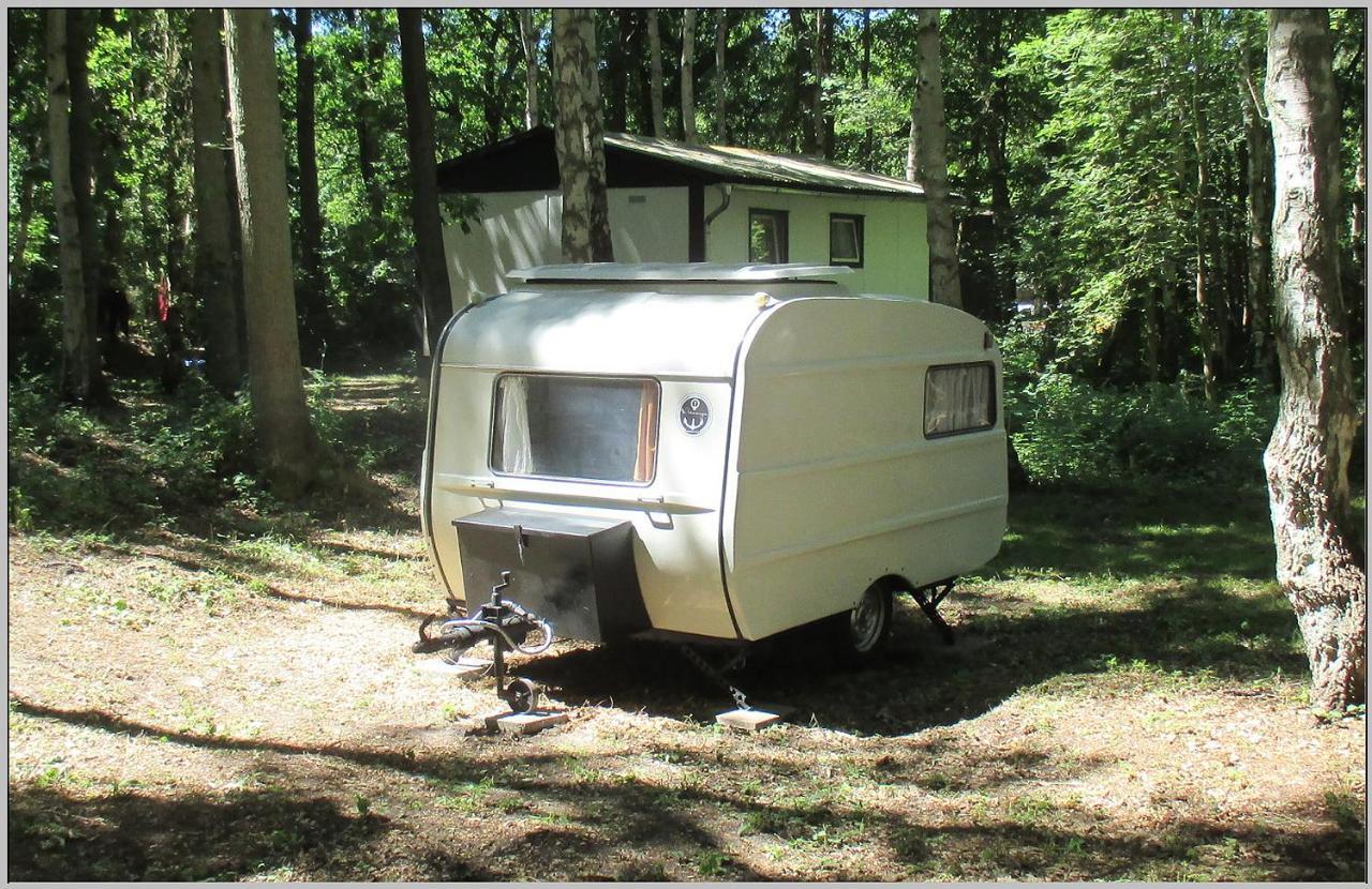 Ddr Wohnwagen Qek Direkt Am Strand Дранске Екстер'єр фото